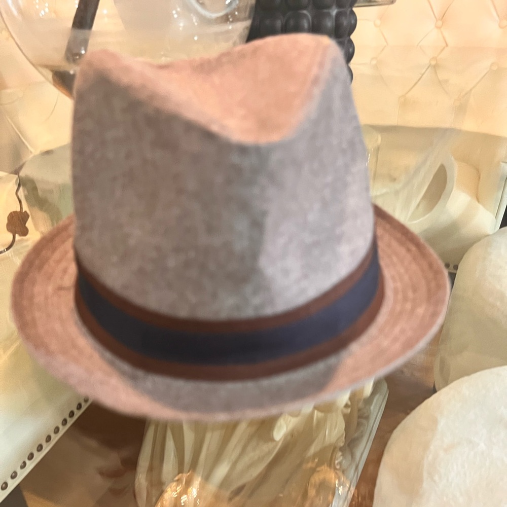 2/$20 .. Unisex fedora… brown, navy and dark brown trim ..